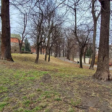 Centrum Bolka * Swidnica (Lower Silesia)