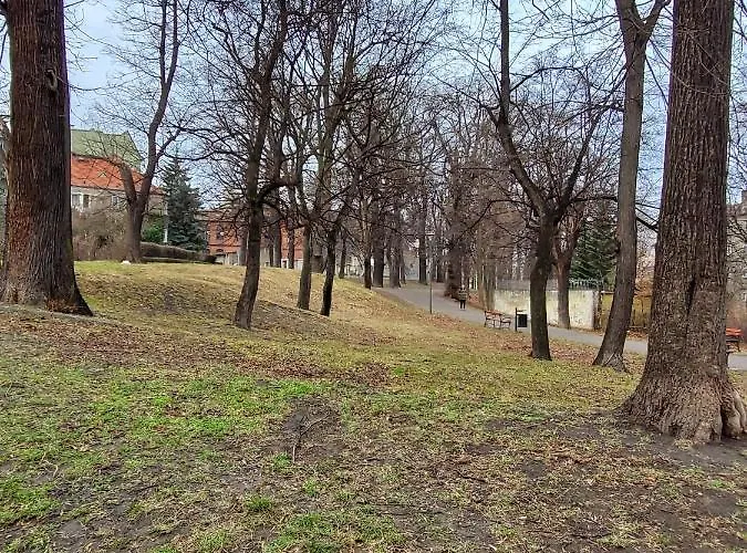 Centrum Bolka * Świdnica